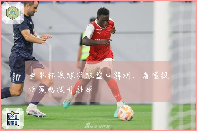 世界杯滚球买球盘口解析：看懂投注策略提升胜率