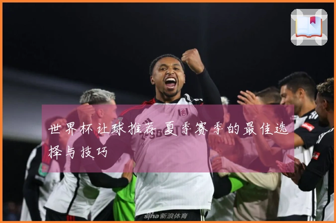 世界杯让球推荐 夏季赛季的最佳选择与技巧